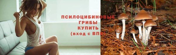СК Сибай