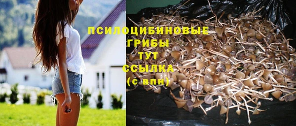бошки Тобольск