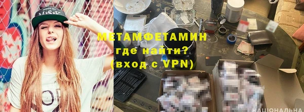 сатива Новодвинск