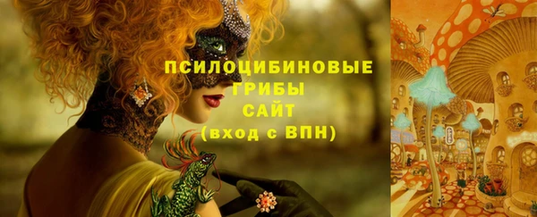 бошки Тобольск