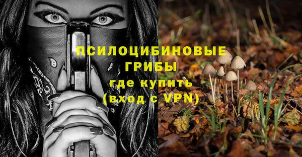 бошки Тобольск