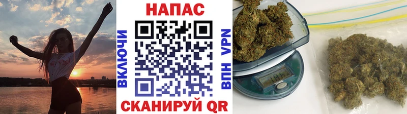 Конопля гибрид  Усть-Джегута 